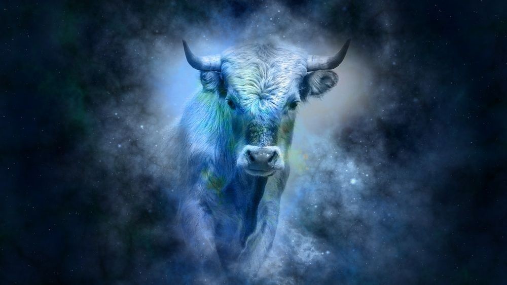 Қызықты мәліметтер