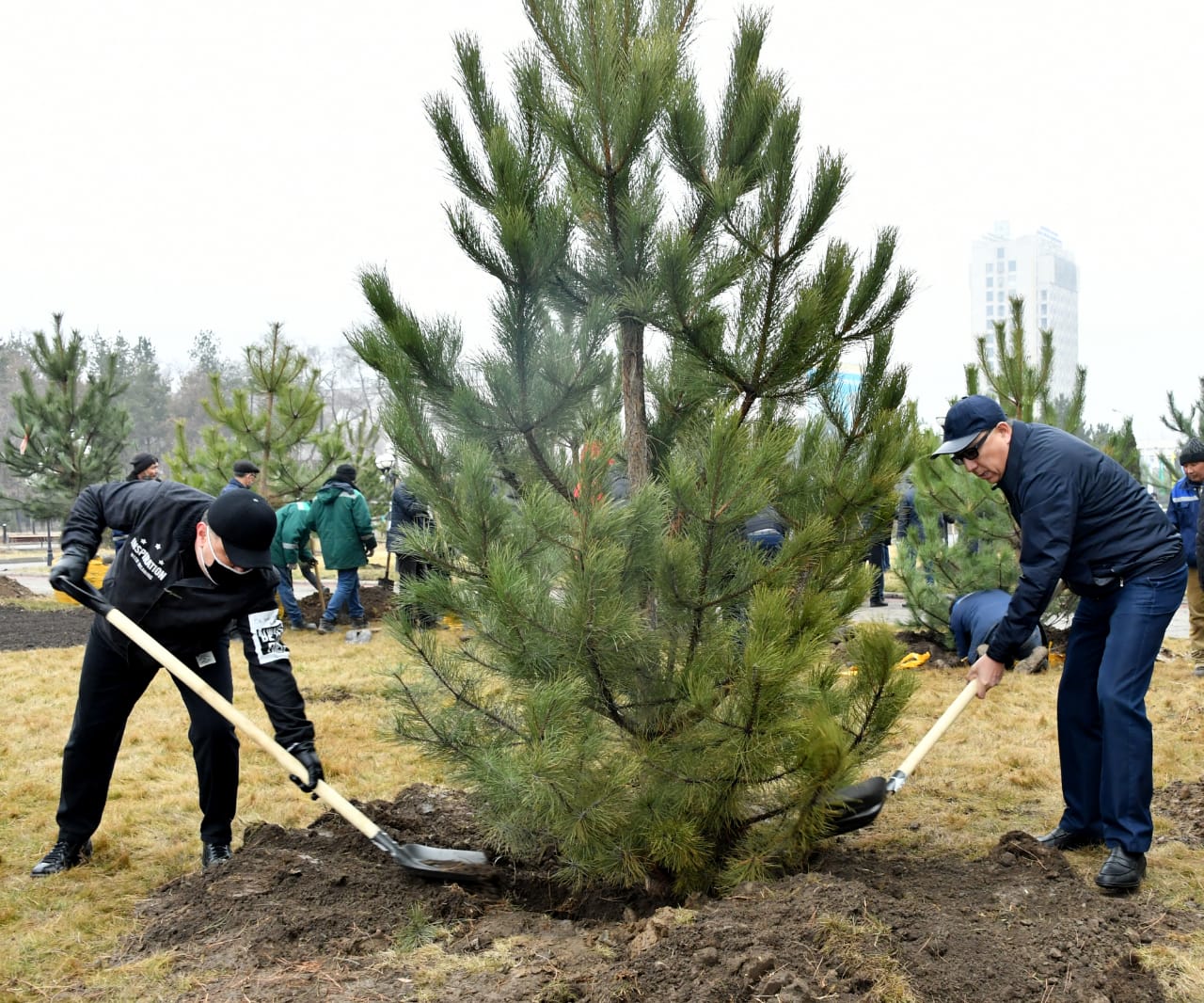 ҚазҰУ қалашығында ағаштар аллеясы ашылды