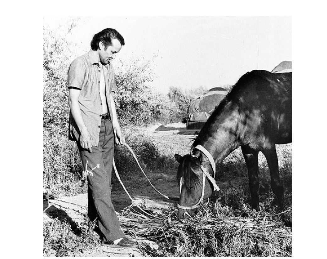 Асқар Сүлейменовке оралу