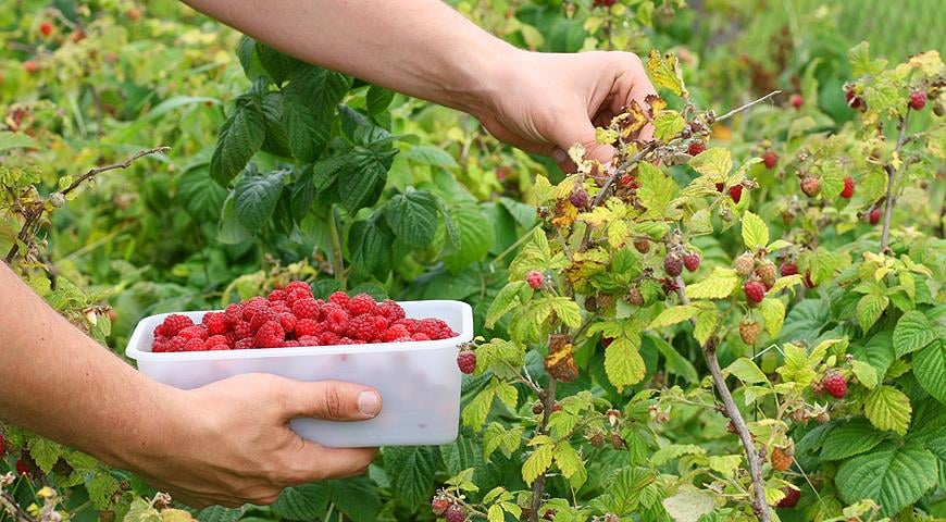 Оқушылар 42 500 теңге жалақы алады