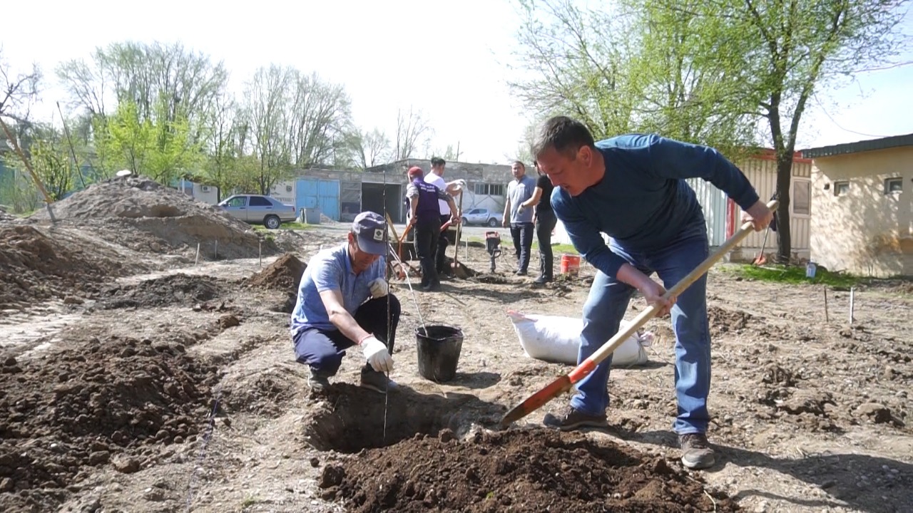 Шымкенттік жолшылар жеміс ағаштарын отырғызды