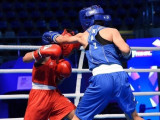 Бокс: Төрт тастүлек финалға шықты
