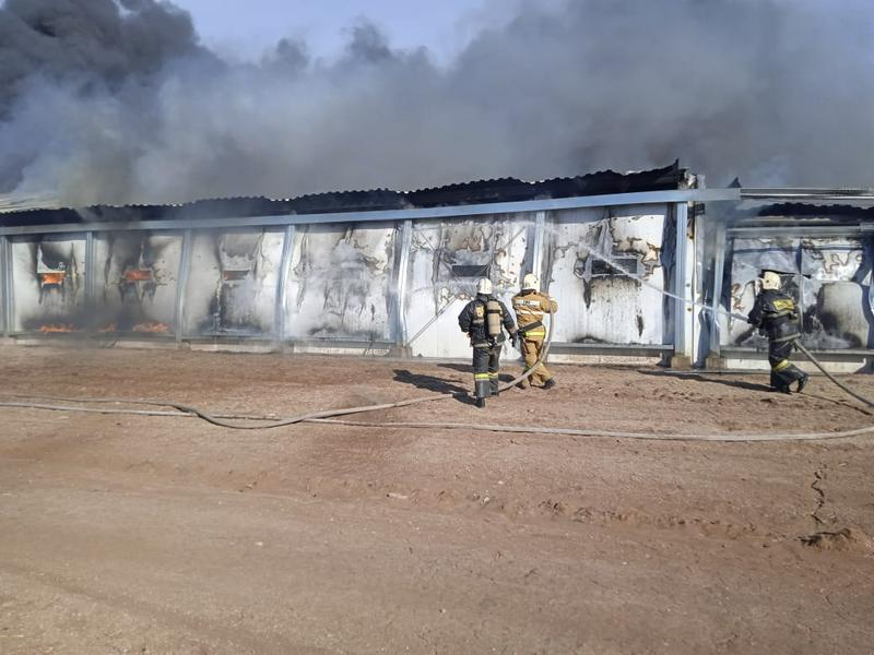 Макинскідегі құс фабрикасында өрт болды