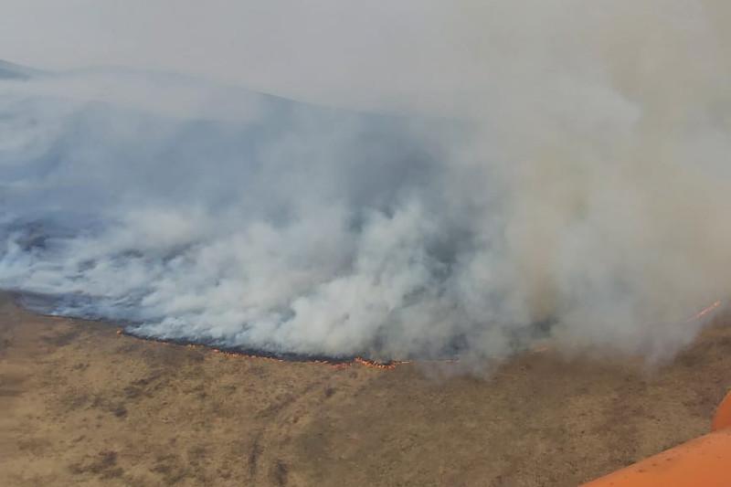 ШҚО-да 40 гектарға жайылған өрт ауыздықталды