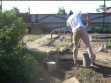 Бесқарағай жастары ардагерлерге көмектесті