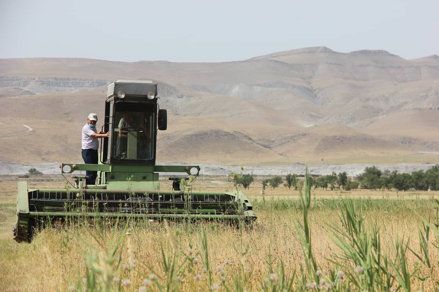 Жамбыл облысында енді әр сенбі сайын жем-шөп жәрмеңкесі өтеді