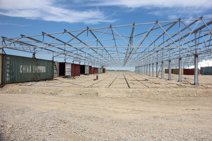 Жамбыл ауданында медициналық бұйымдарға қажетті шикізат өндіріледі