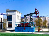 Атыраудағы университетте РhD докторантура ашылды
