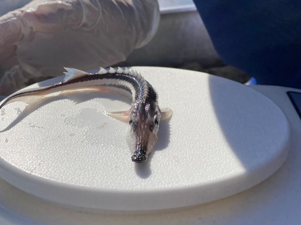 Еңбегі ерен, табысы төмен