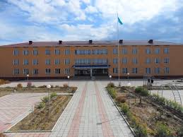 Мектеп маңындағы полиция жасағының саны артады – ІІМ