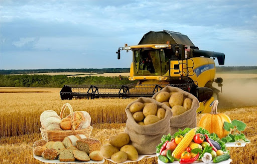 Өсімдік шаруашылығы жаңа тәртіппен субсидияланады