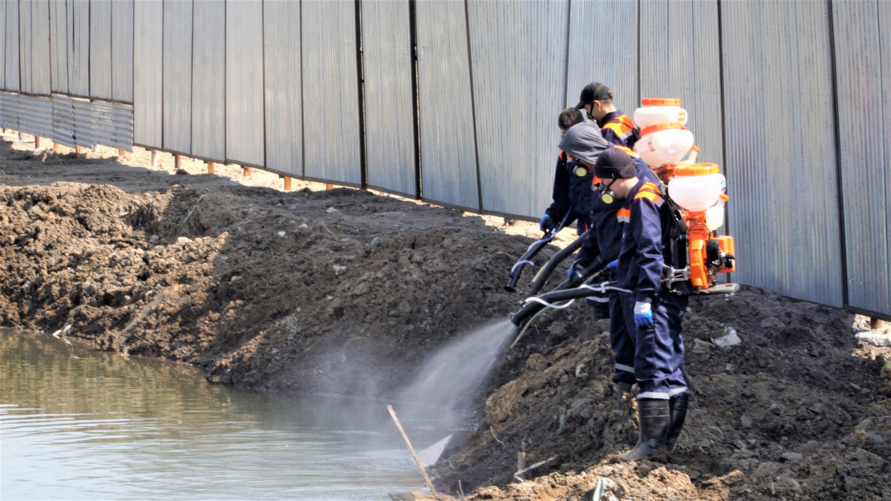 Елордада маса улаудың бесінші кезеңі жүріп жатыр