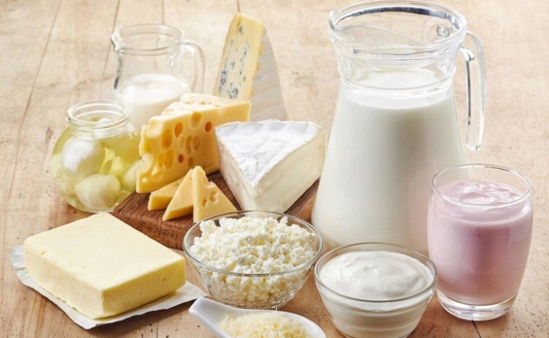 Шымкентте сүт өңдейтін цех ашылды