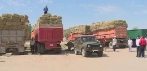 Мал шаруашылығына қолдау көрсетуде