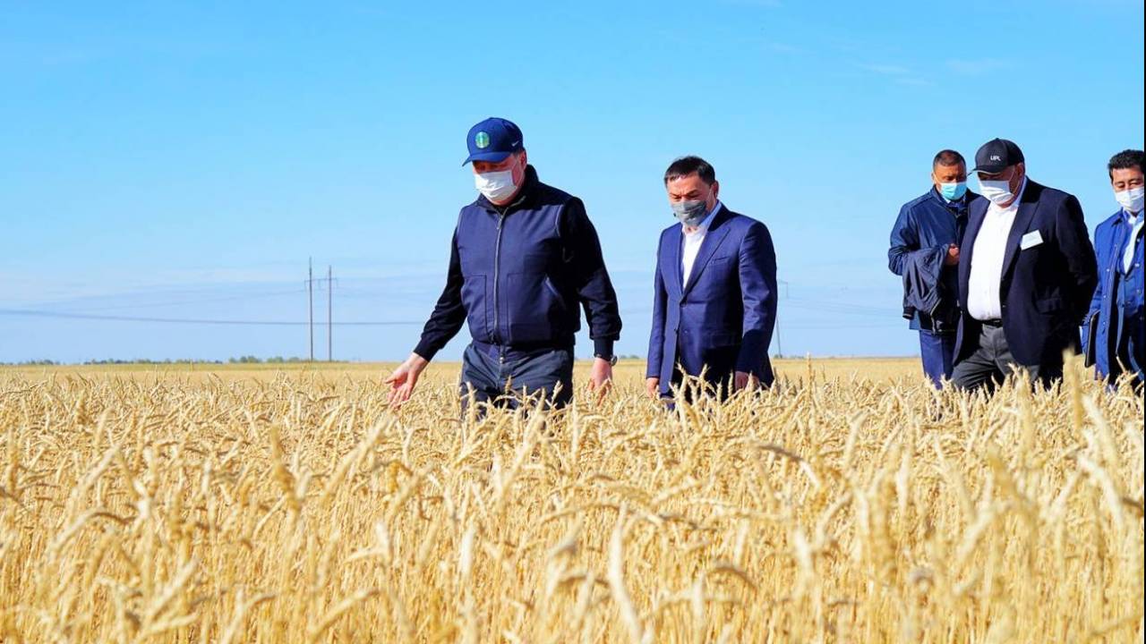 Асқар Мамин Ақмола облысындағы астық жинау науқанын тексерді