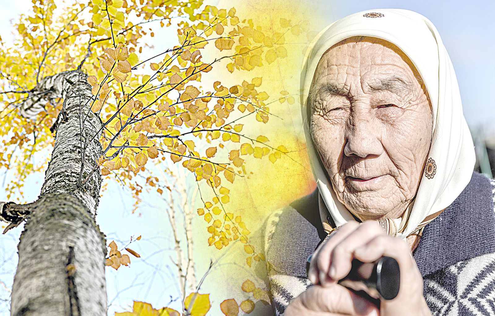 Қарттар аман-сау жүрсін