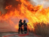 Каспий теңізінің жағалауындағы қамыс өртін сөндіру қайта жалғасты