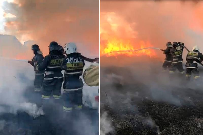 Петропавл маңында қамыс өртеніп жатыр