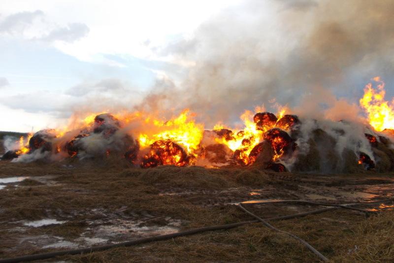 ШҚО-да 300 тоннаға жуық шөп өртеніп жатыр