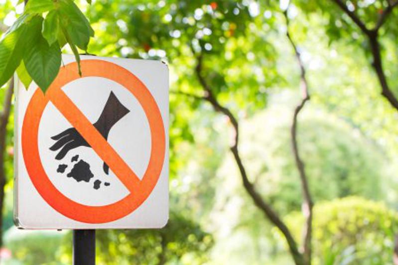 Орнықты даму мақсаттарына жету жолдары