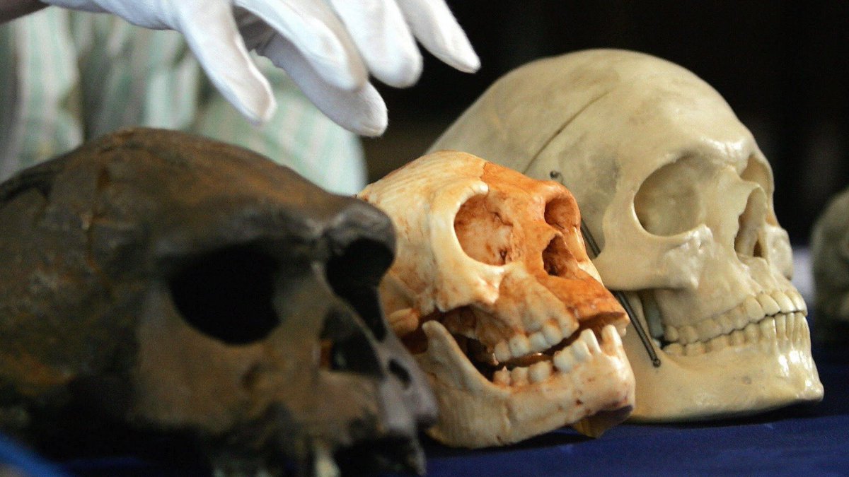 ECO Award 2021 медалін табыс етті