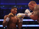 Джошуа Усикке лайықты қарсылас емес – украиналық боксшы
