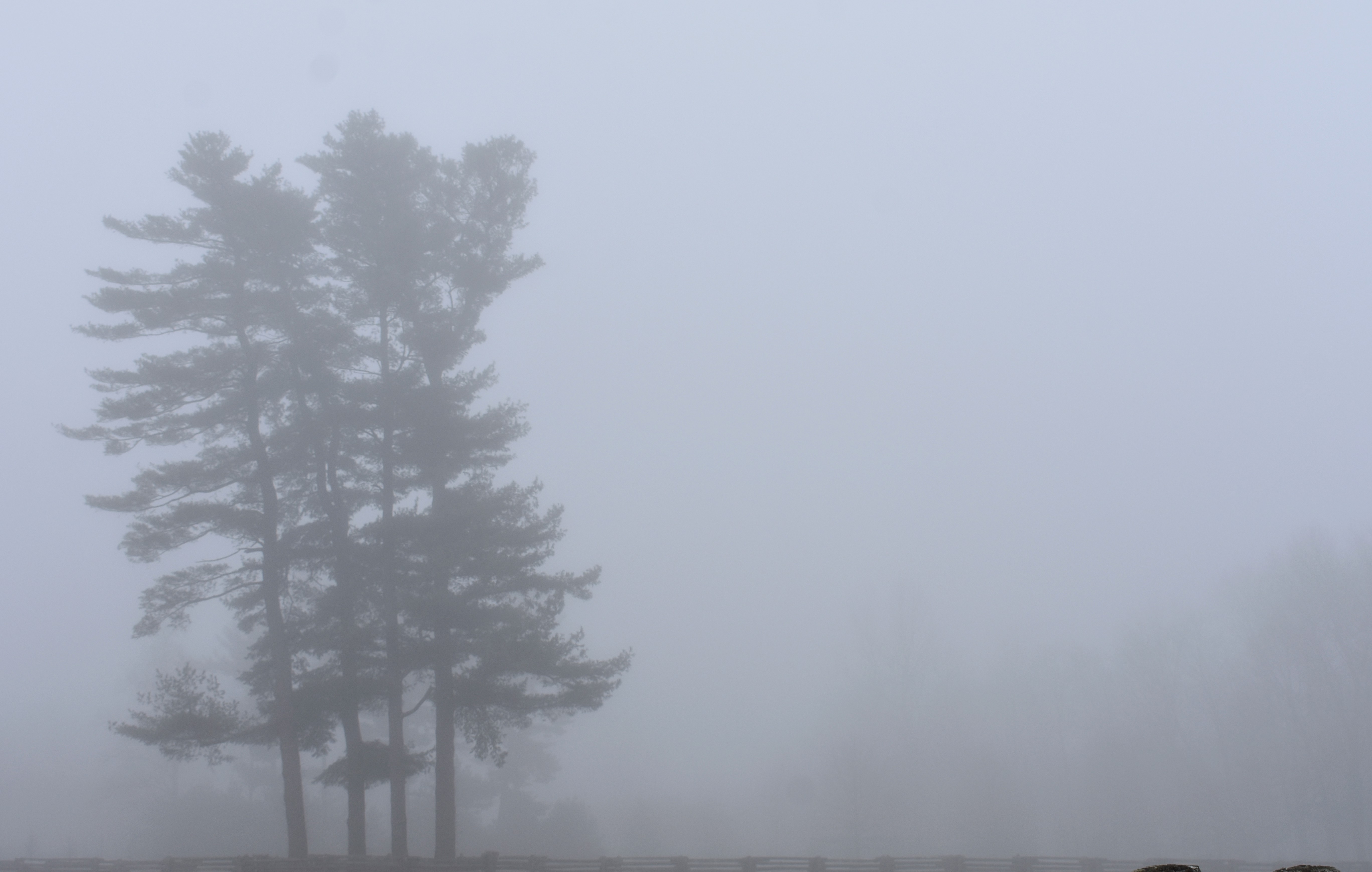 Республиканың басым бөлігінде тұман түседі