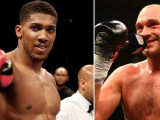 Промоутер Джошуа мен Фьюридің жекпе-жек өткізетініне сенімді