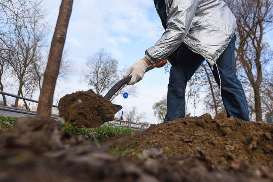 Ор қазу оңтайлы шешім бе?!