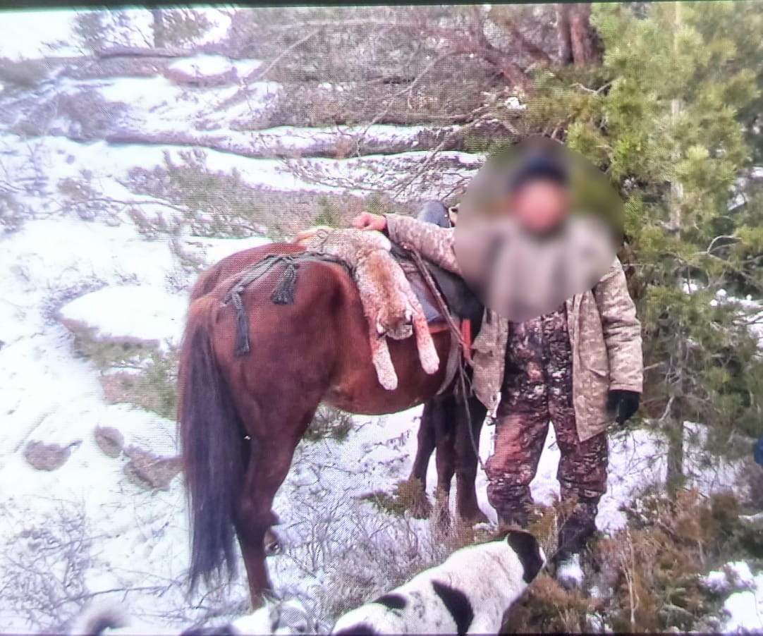 Сілеусіннің де сұрауы бар