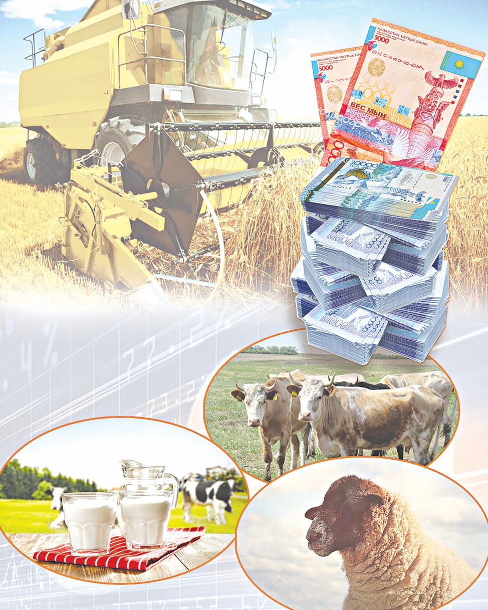 Субсидия деген бір сарсаң