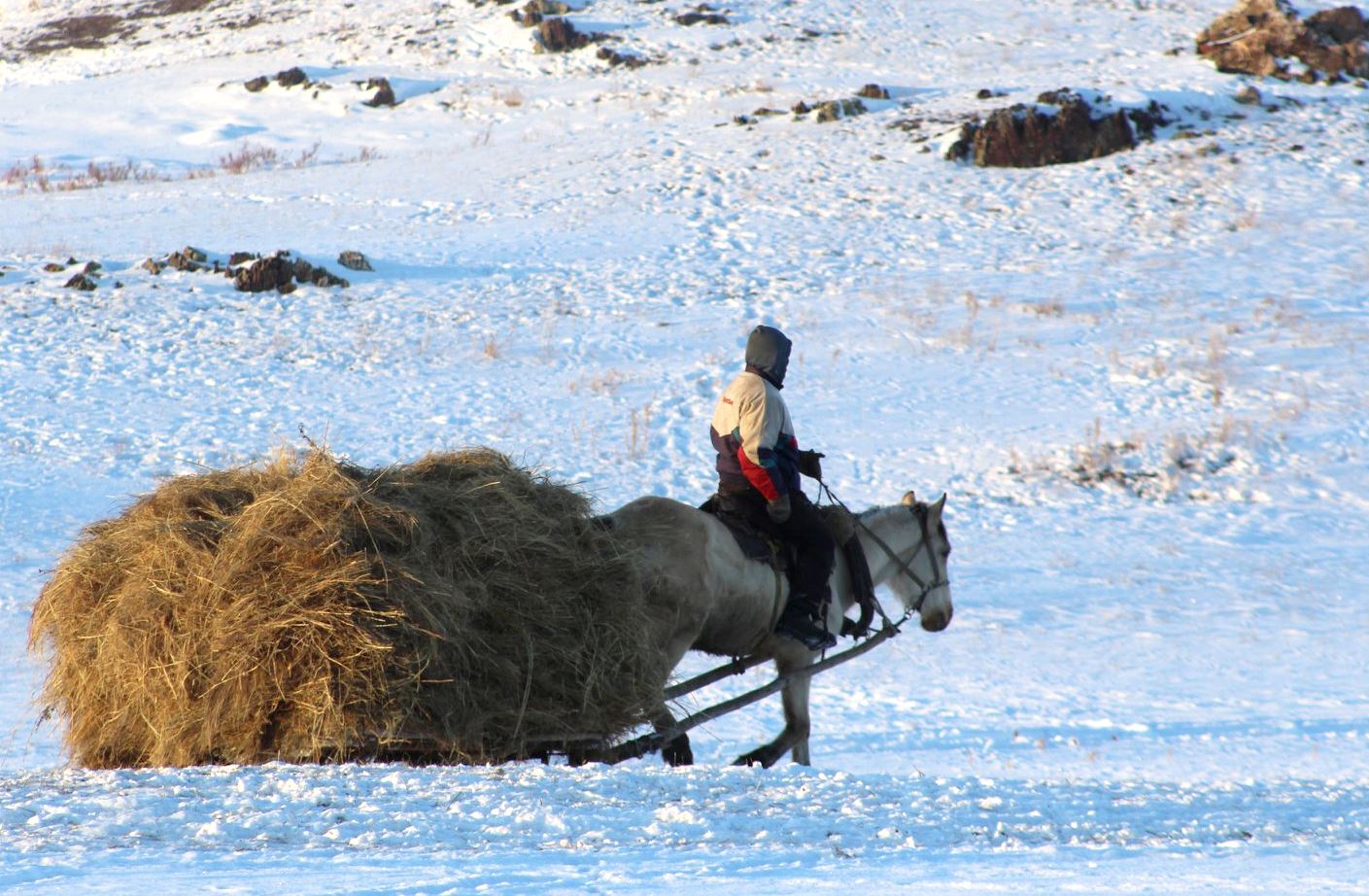Ауыл шаруашылығына жаңа көзқарас қажет