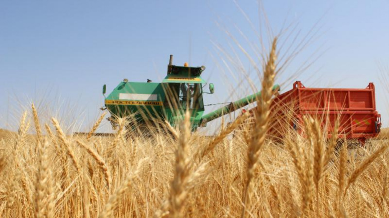 Атакәсіптегі тәртіпсіздік реттелуге тиіс