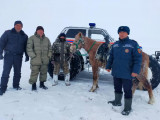 Құтқарушылар адасқан азаматты іздеп тапты