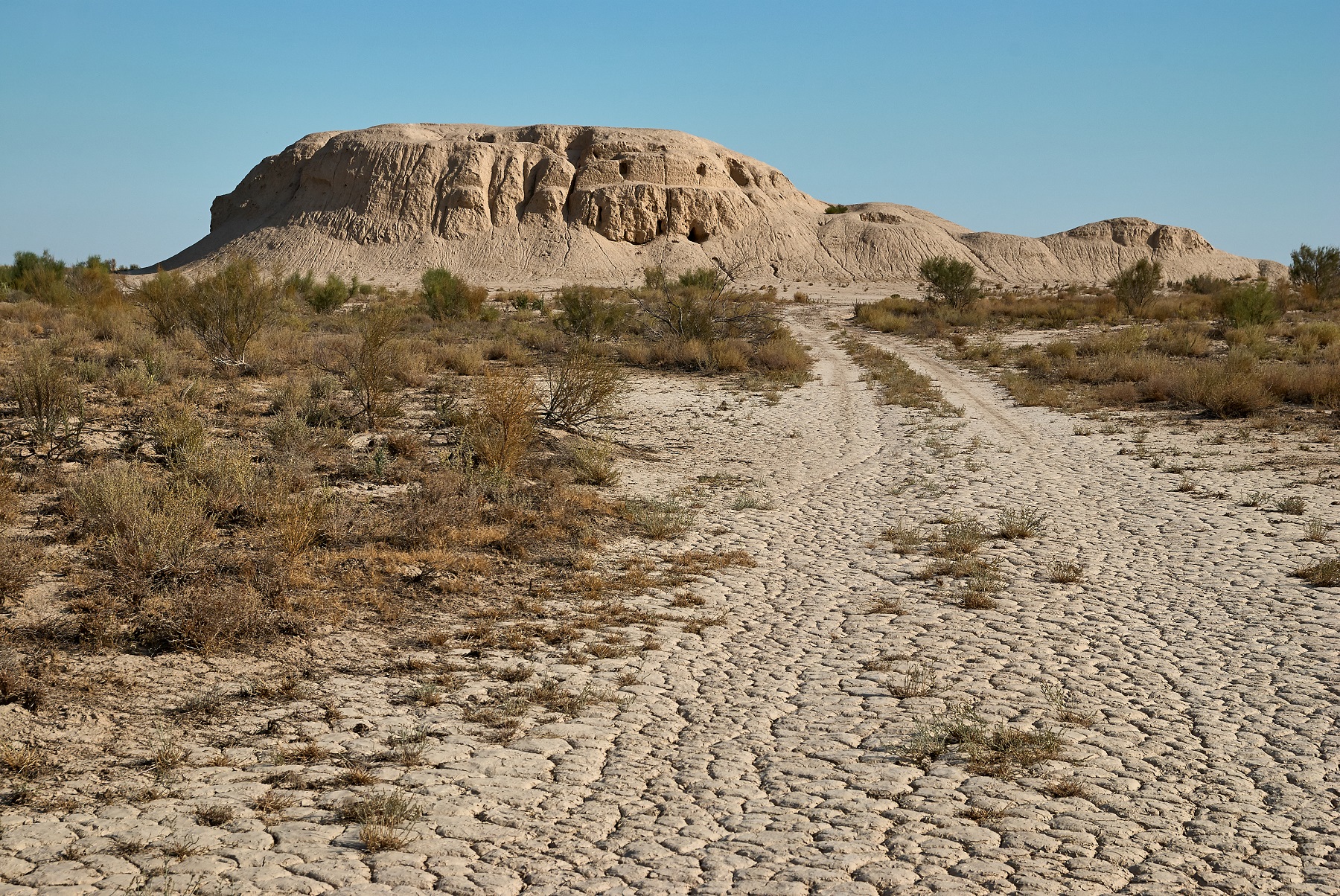 Жердің шөлейттенуі – өзекті мәселе