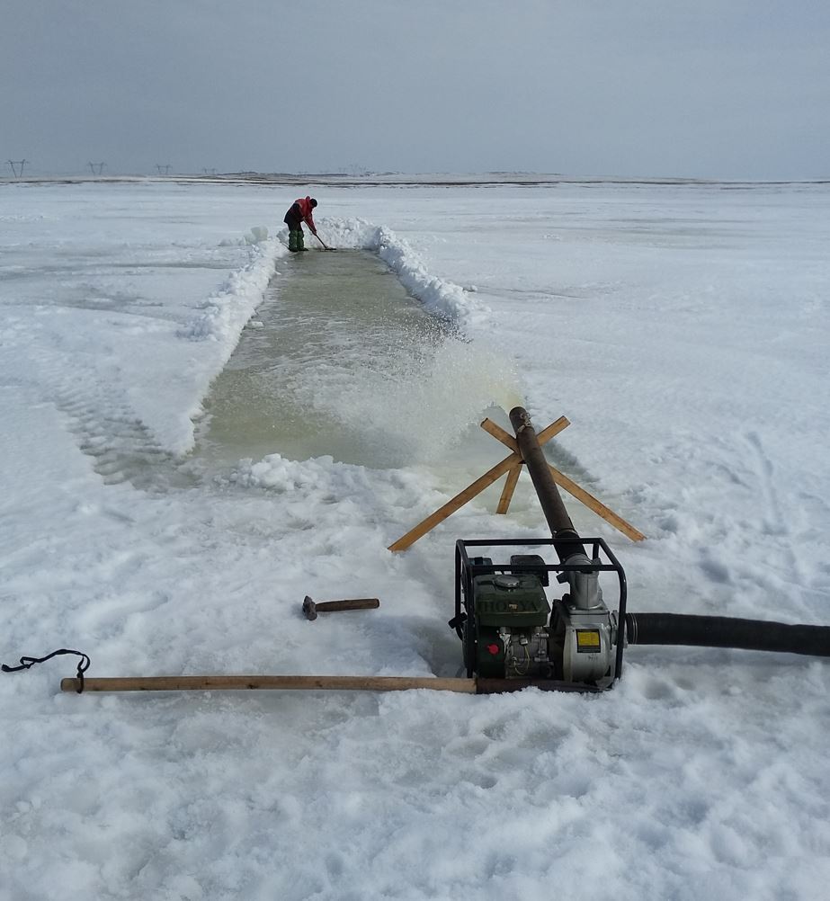 Бағусыз балық та өспейді