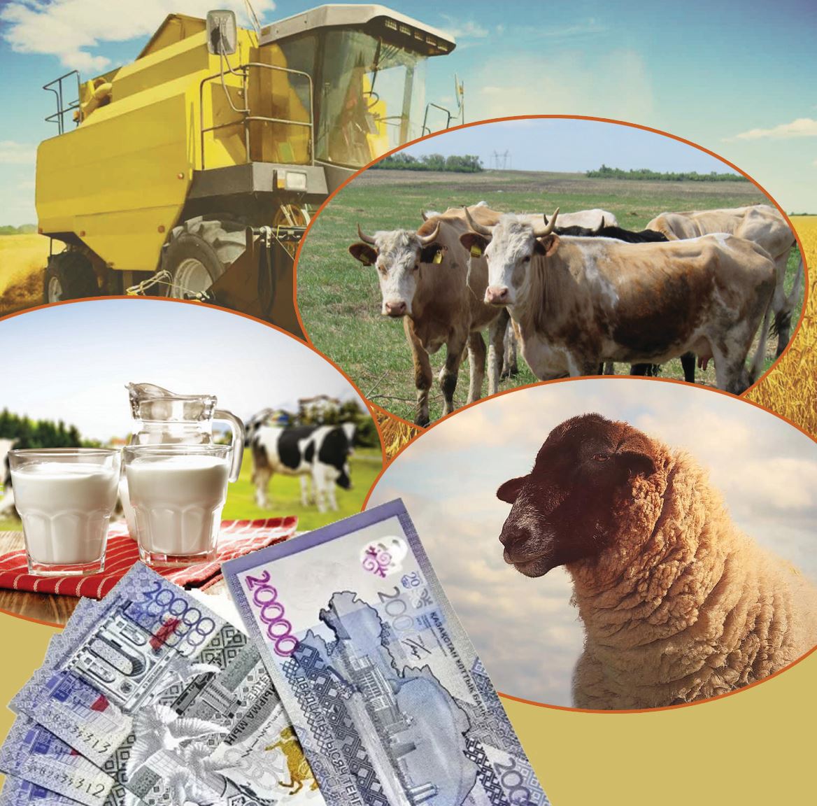 Қателіктің құны – қайтарылған субсидия