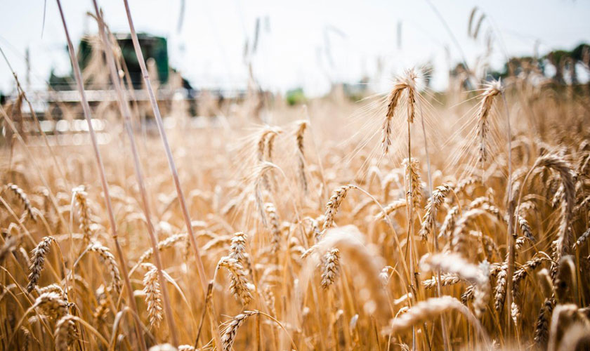Президент Жолдауы агрокешенді дамытуға серпін береді