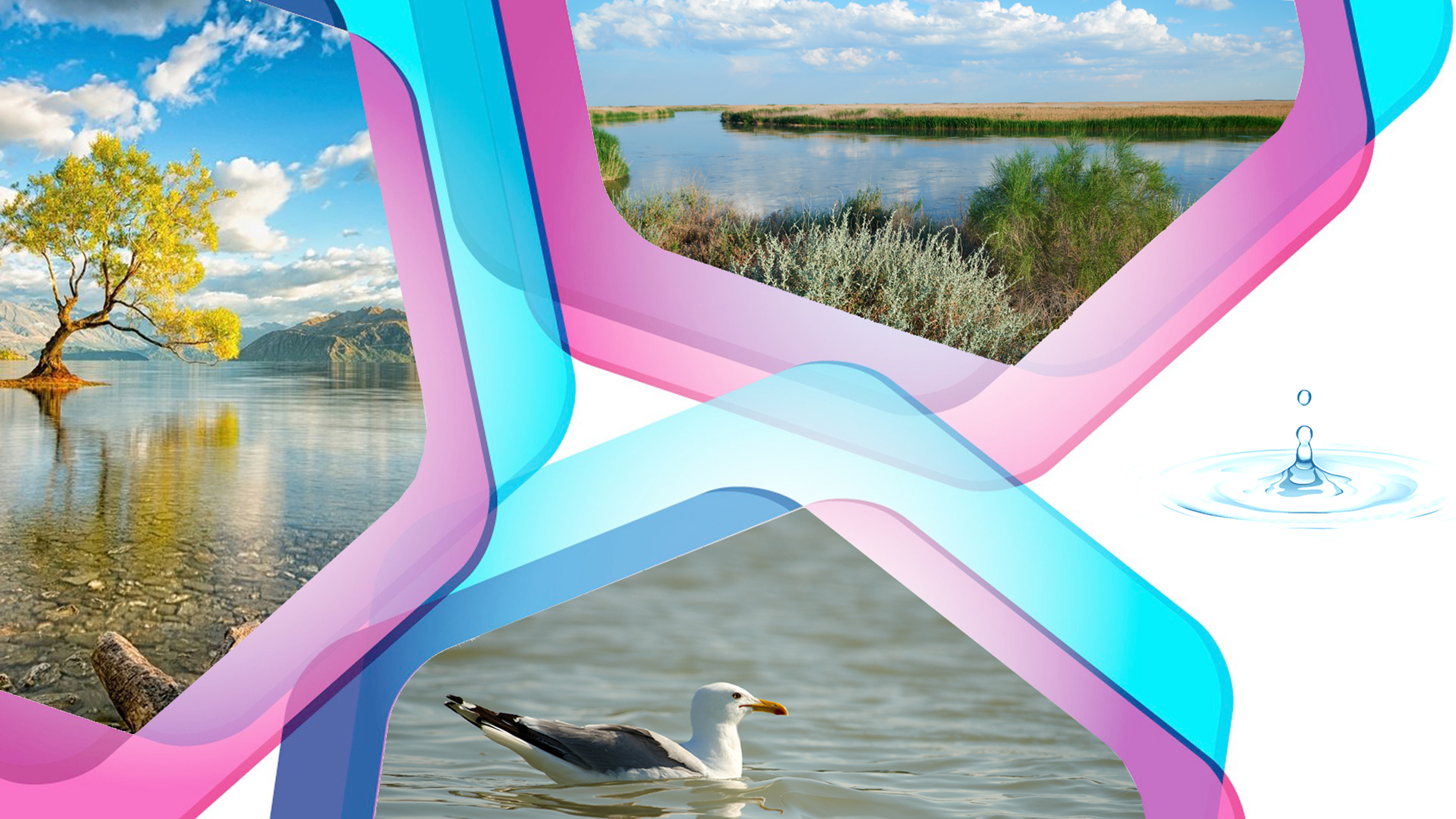 Апатты «қолдан жасап» алмасақ игі