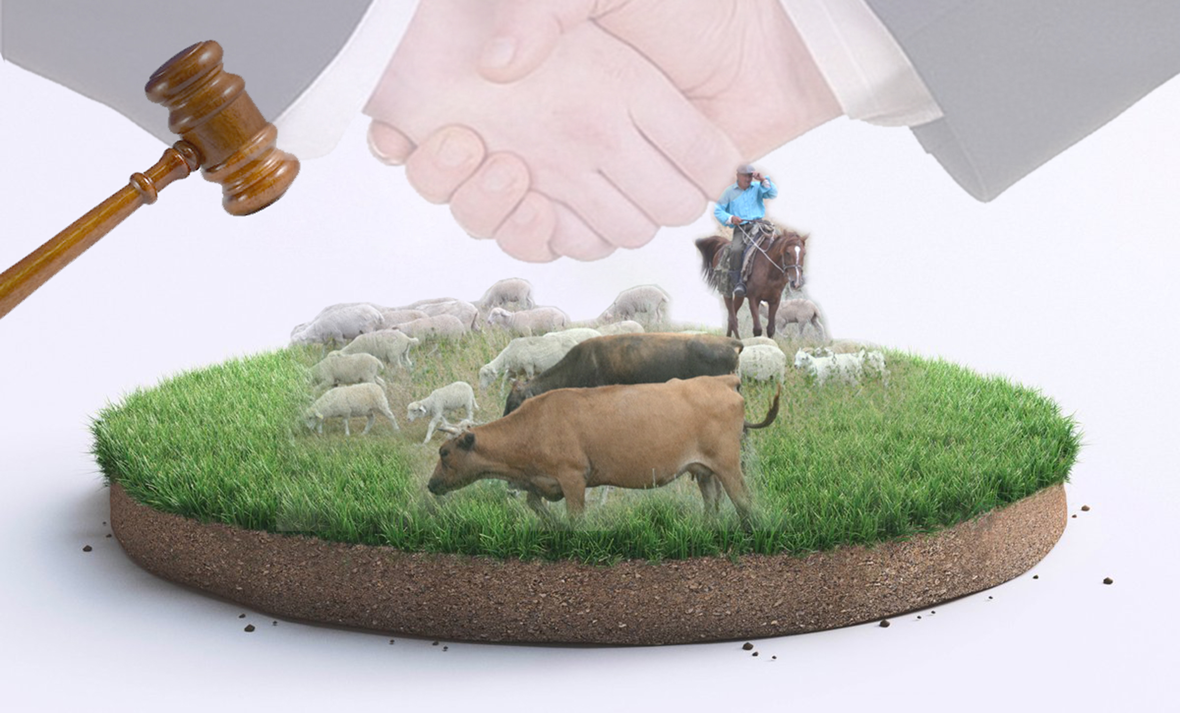 Жайылым «жарасы»