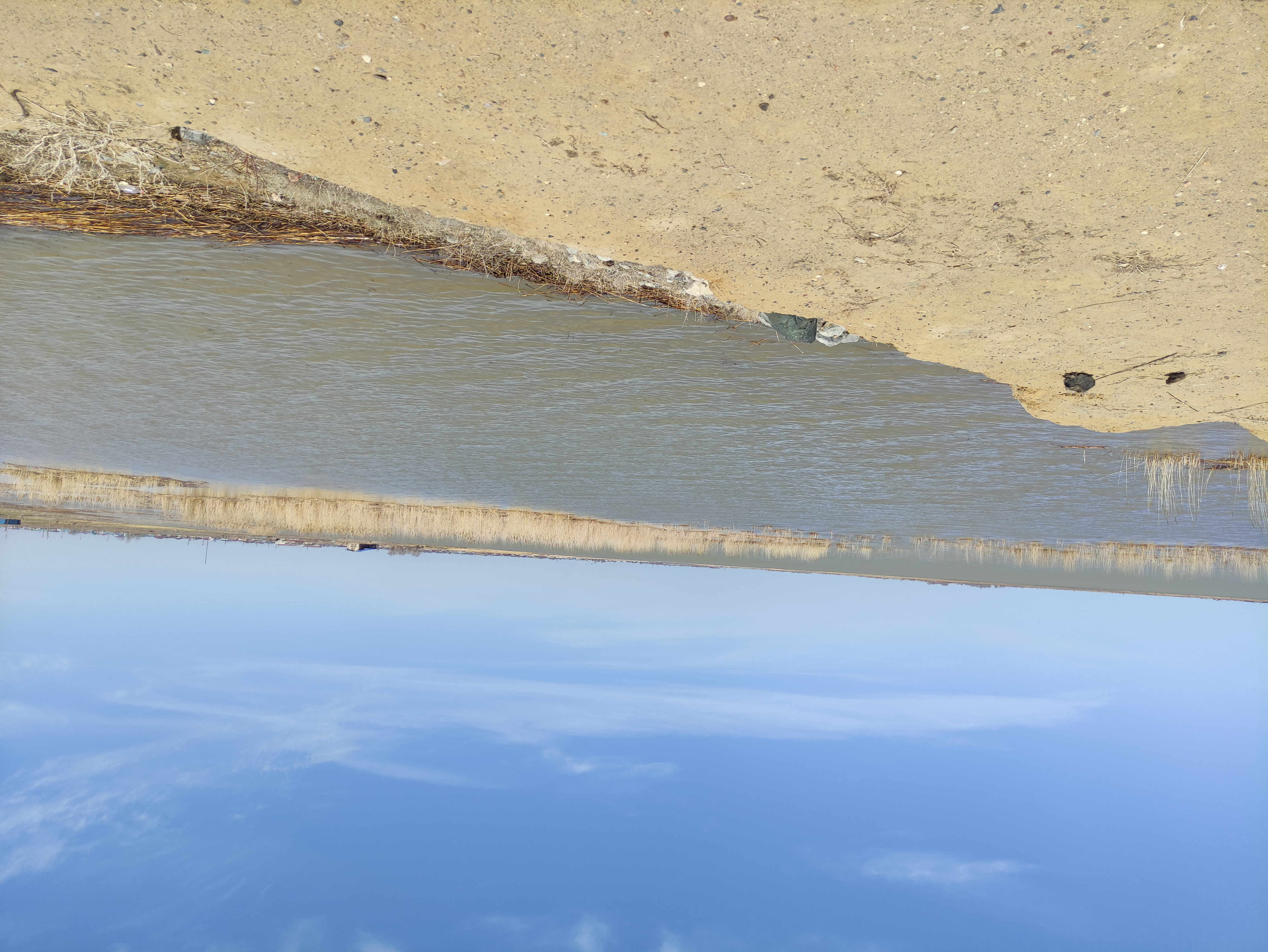 Көл мен сор