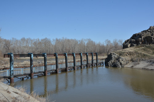 Жауғаштыға жаутаңдаған жұрт