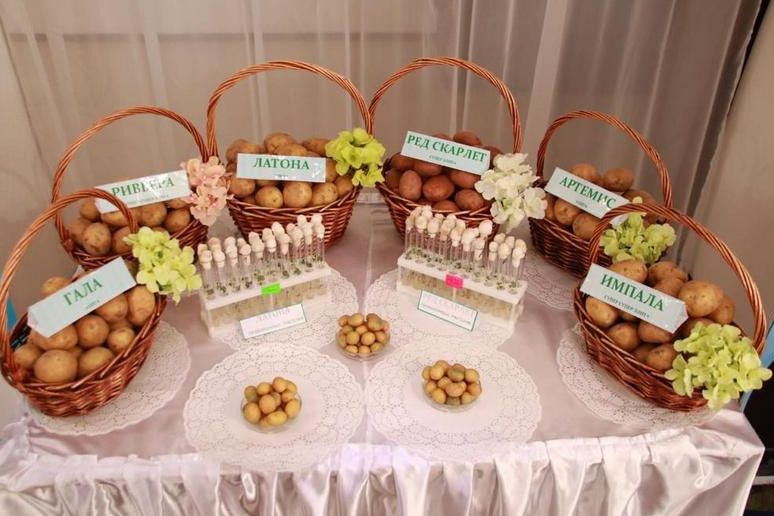 Агротехнология үмітті ақтайды