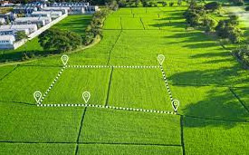 Тегін алған жер үй салуға жарамаса, қайтарып беруге болады