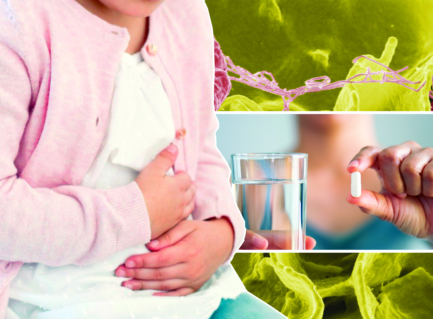 Жіті ішек ауруларының алдын алуға шақырды