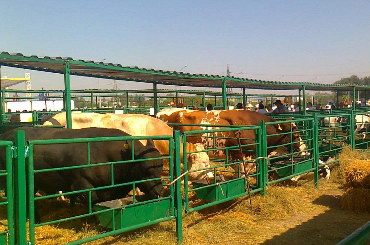 Мал шаруашылығындағы маңызды қадам