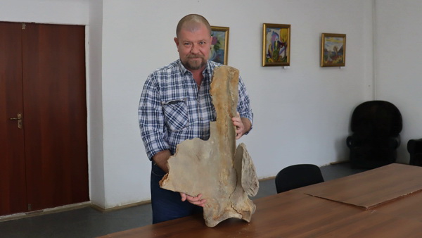 Мамонттың сүйегі табылды