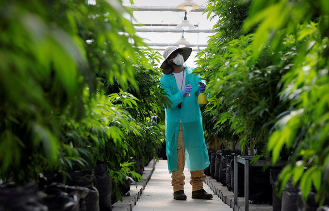 Таиландта түрмеде отырған үш мыңнан аса адамға рақымшылық жасалды