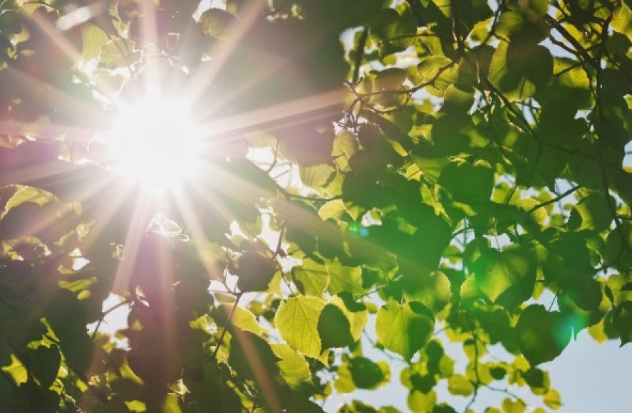 Ертең еліміздің бірнеше өңірінде 38-41 градус ыстық болады