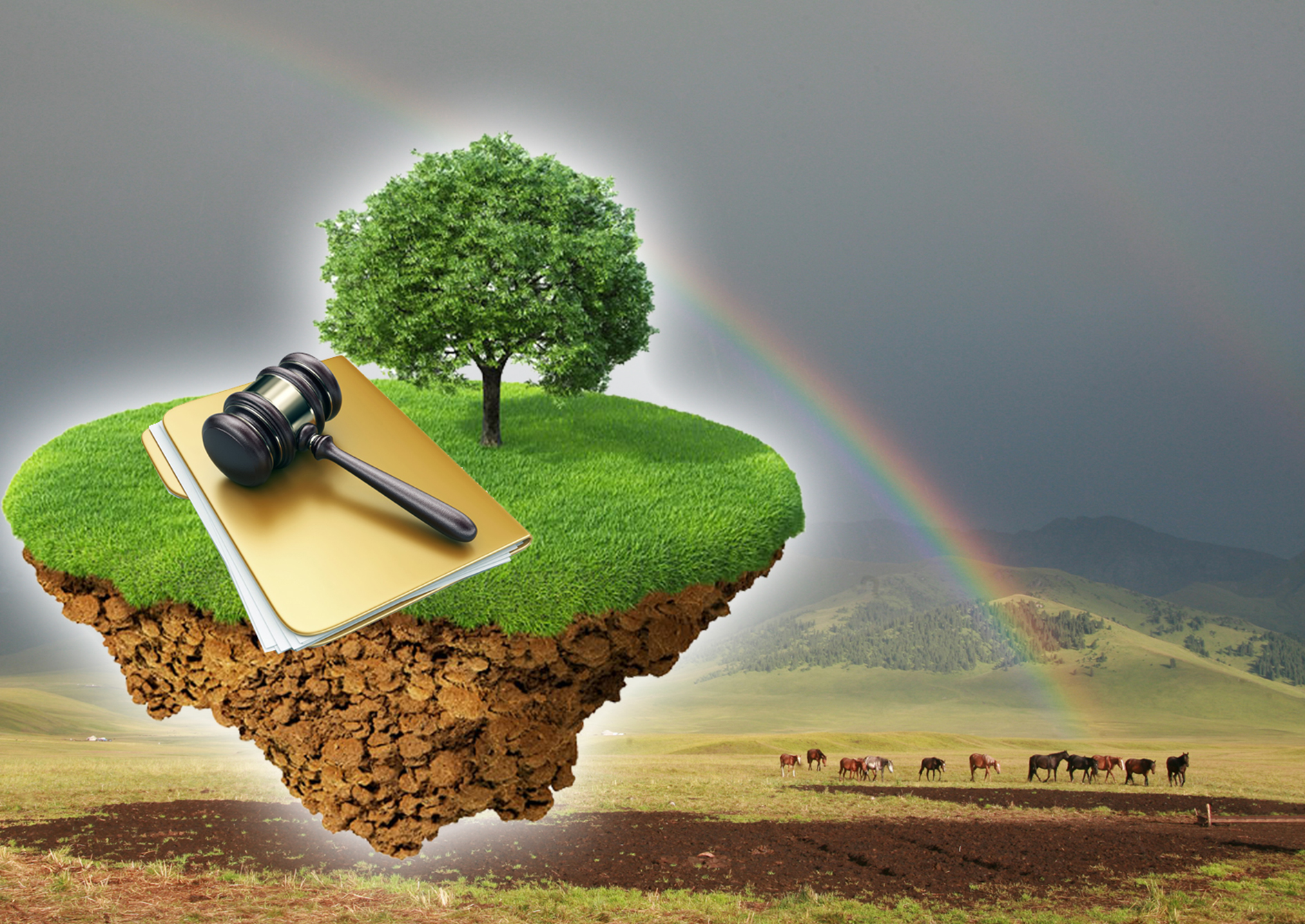 Жер дауының көбеюі – ел дамуына кедергі